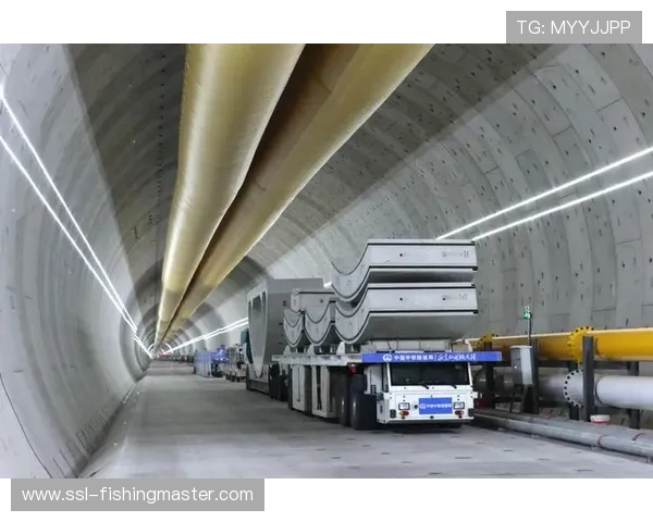 异构网络自适应传输技术突破 提升弱网环境分发质量